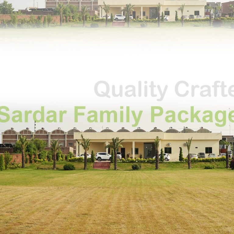 SFpackages premium corrugated packaging solutions