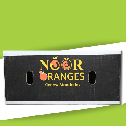 Untitled design (24)